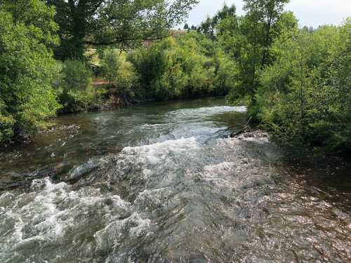 A serene river flows through lush greenery, with gentle waves and sunlight reflecting on the water's surface.