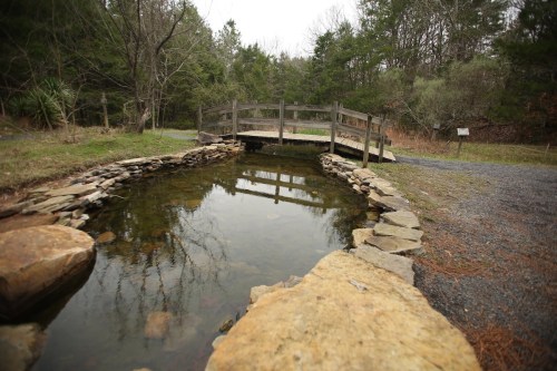 A wooden bridge over a small pond, surrounded by trees and rocky edges, in a tranquil outdoor setting.