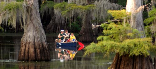 A family paddles a canoe through a serene, tree-filled swamp, reflecting on the calm water.