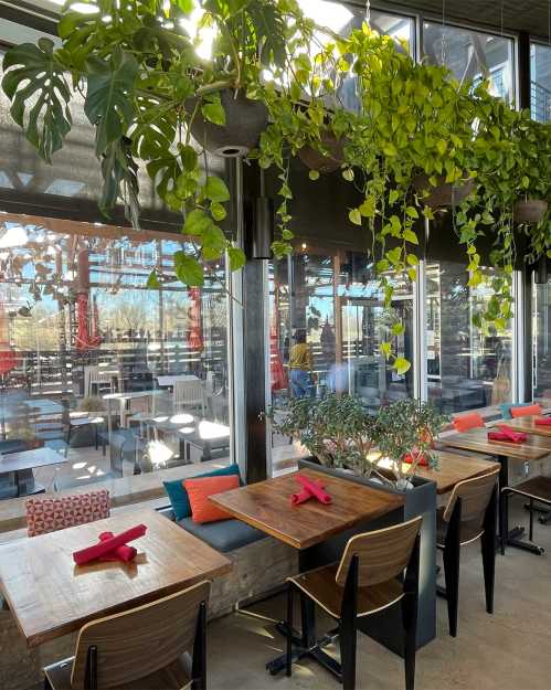 Bright restaurant interior with wooden tables, colorful cushions, and hanging plants, featuring large windows and outdoor seating.