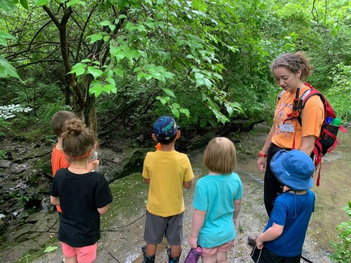 A group of children listens to an adult guide in a lush, green outdoor setting near a stream.