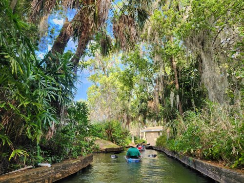 A person kayaking through a lush, green canal surrounded by trees and tropical vegetation.