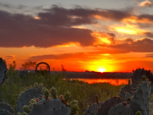 A vibrant sunset over a landscape with cacti, reflecting warm colors in the sky and water.