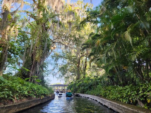 A serene waterway surrounded by lush greenery and trees, with a person kayaking in the distance.