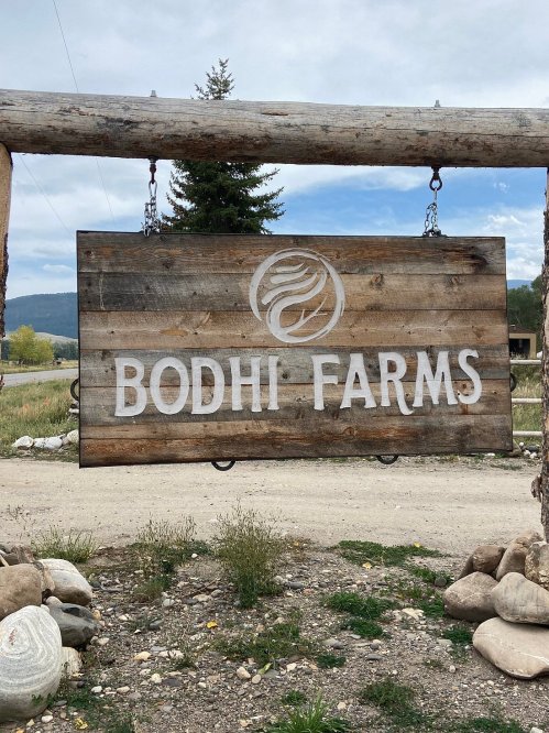 Wooden sign for Bodhi Farms, hanging from a rustic frame, surrounded by gravel and greenery.