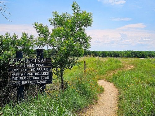 A winding dirt path through green grass and trees, with a sign for the Prairie Trail highlighting local wildlife.