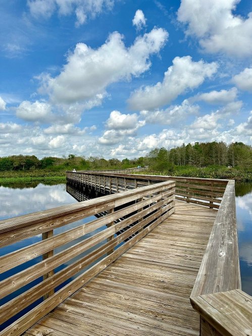 A wooden boardwalk extends over calm water, surrounded by lush greenery and a blue sky with fluffy clouds.