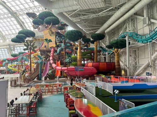 Indoor water park featuring colorful slides, palm trees, and seating areas under a large glass roof.