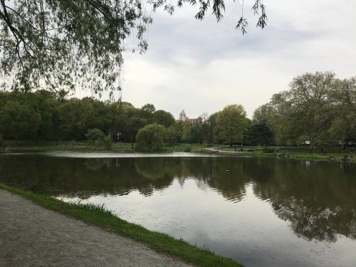 A serene park scene featuring a calm lake reflecting trees and a cloudy sky, with a walking path along the shore.