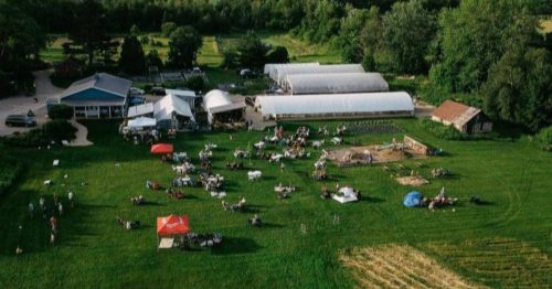 Aerial view of a farm event with people sitting on the grass, tents, and greenhouses in a lush landscape.