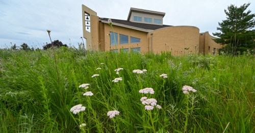 A modern building with large windows surrounded by tall green grass and wildflowers under a cloudy sky.