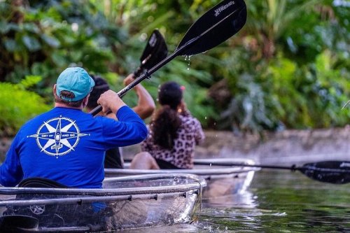 A group of people kayaking in a lush, green environment, with paddles splashing in the water.