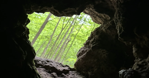View from inside the rocky interior of Doty Cave looking out at bright green forest trees in Michigan.