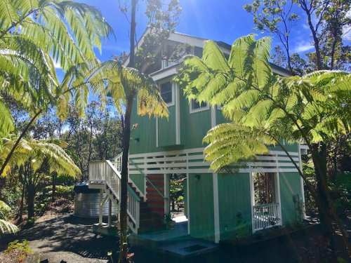 A green two-story house surrounded by lush ferns and trees under a bright blue sky.