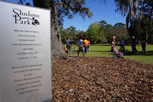 A park scene with people walking and a sign about nature and existence, surrounded by trees and fallen leaves.