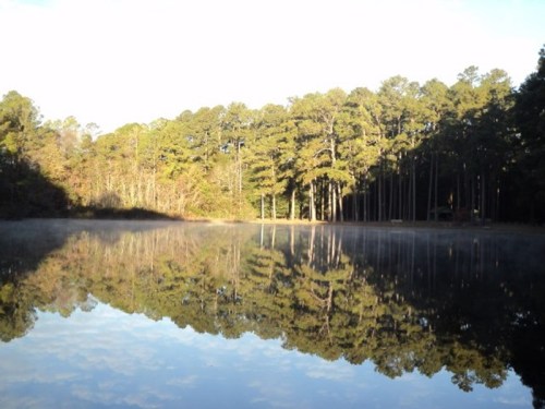 A serene lake surrounded by tall trees, reflecting the landscape in calm water under a clear sky.