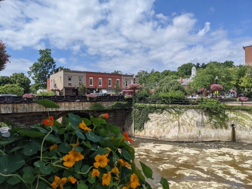 A scenic view of a riverbank with flowers, a bridge, and buildings under a partly cloudy sky.