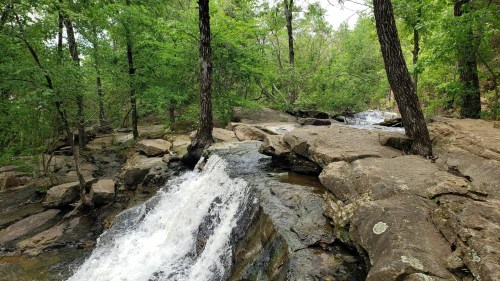 A serene waterfall cascades over rocks, surrounded by lush green trees in a tranquil forest setting.