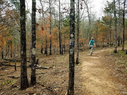 A person walks along a dirt trail in a wooded area with sparse trees and autumn-colored foliage.