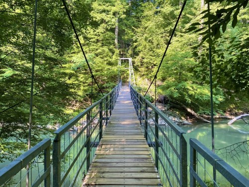 A wooden suspension bridge stretches over a serene river, surrounded by lush green trees and foliage.