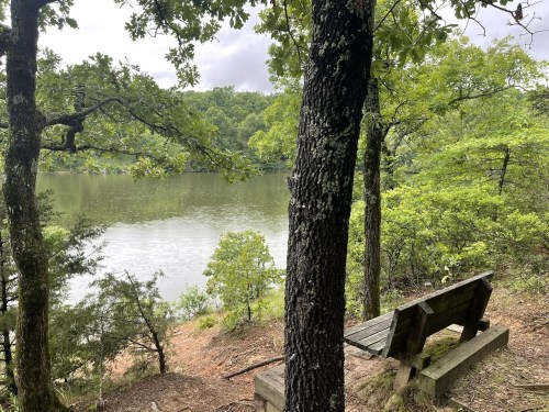 A serene lakeside view with a wooden bench surrounded by lush green trees and calm water under a cloudy sky.