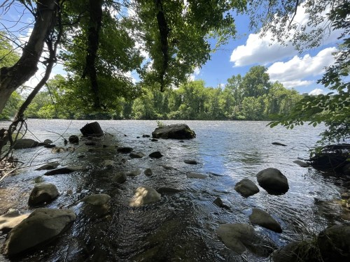 A serene river scene with lush green trees, rocky shorelines, and a clear blue sky with fluffy clouds.