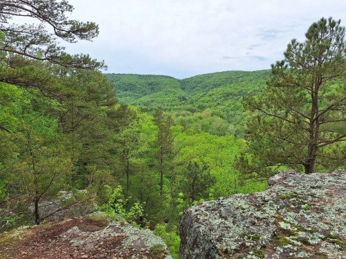 A scenic view of lush green hills and trees under a cloudy sky, seen from a rocky outcrop.