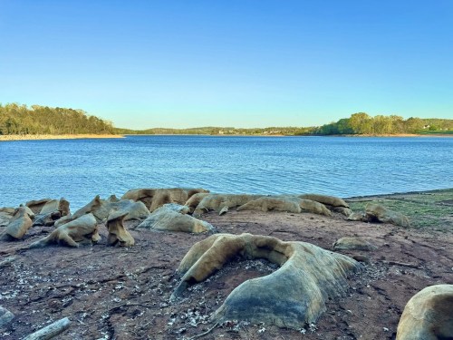 A serene lakeside view with smooth rocks in the foreground and calm water under a clear blue sky.