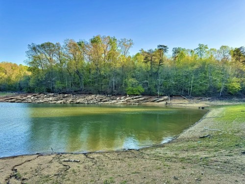 A serene lake surrounded by lush green trees and a sandy shore under a clear blue sky.