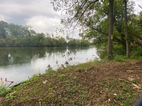A calm river surrounded by trees and greenery under a cloudy sky.