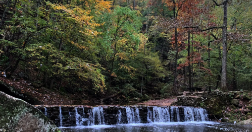 A waterfall in Alabama surrounded by fall foliage.