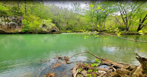 A serene river flows through lush green trees and rocky banks, reflecting the vibrant colors of nature.