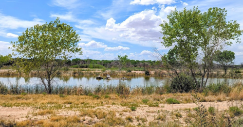 A serene landscape featuring a calm pond surrounded by greenery and trees under a blue sky with fluffy clouds.