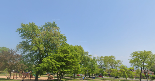 A sunny park scene with green trees, a playground, and a clear blue sky.
