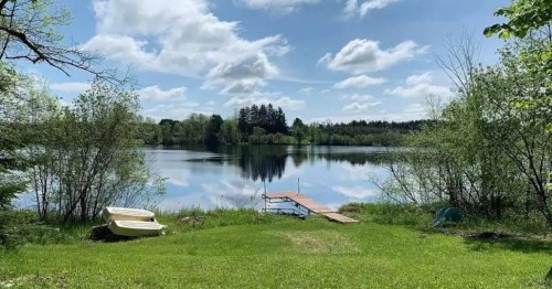 A serene lake view with a wooden dock, surrounded by lush greenery and a clear blue sky with fluffy clouds.
