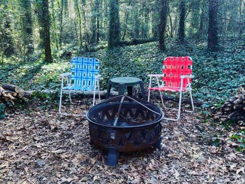 Two colorful chairs, one blue and one red, sit beside a fire pit in a wooded area surrounded by leaves and trees.