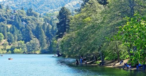 Mountain lake surrounded by pine forest in Southern California