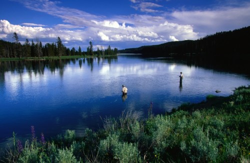 Two people wade in a serene lake surrounded by lush greenery and a blue sky with fluffy clouds.