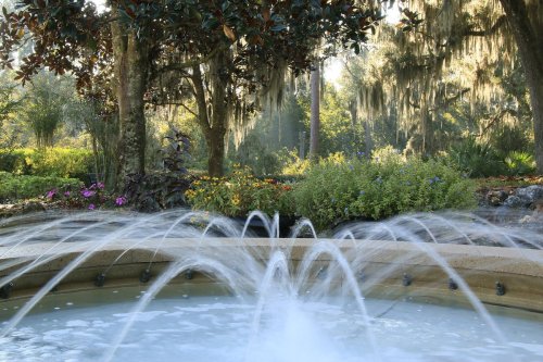 A serene garden scene featuring a fountain with water jets, surrounded by lush greenery and colorful flowers.
