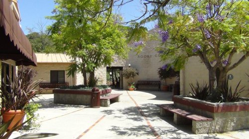 A serene courtyard with benches, surrounded by trees and plants, featuring a stone wall in the background.