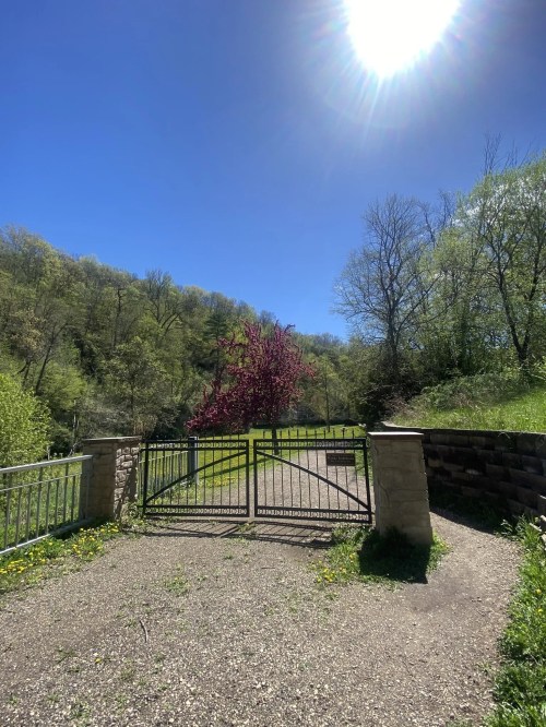 A green gate opens to a sunny path lined with trees and a vibrant purple tree in the distance.