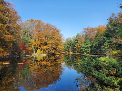 A serene pond surrounded by vibrant autumn trees reflecting in the water under a clear blue sky.
