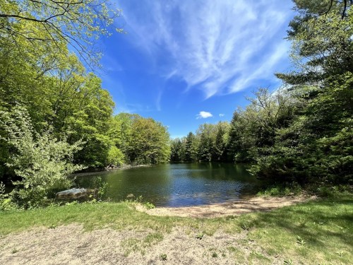 A serene pond surrounded by lush green trees under a bright blue sky with wispy clouds.