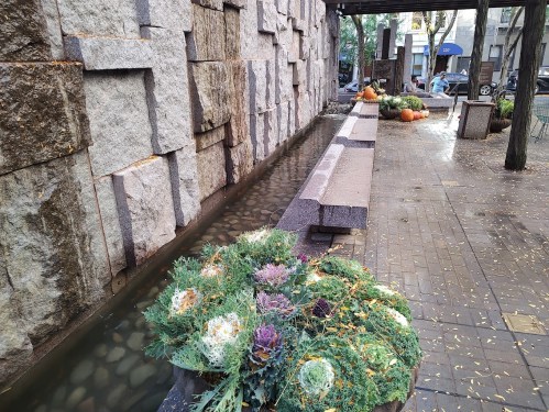 A stone wall beside a shallow water feature, with colorful plants and pumpkins arranged along the walkway.