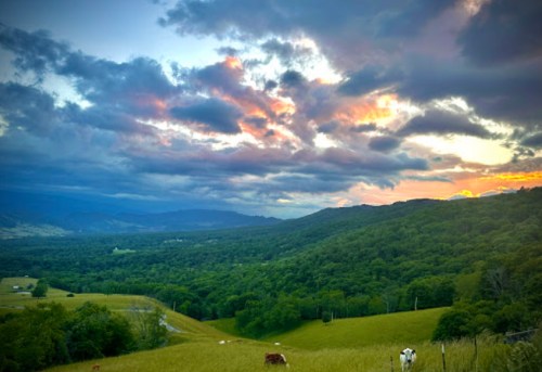 A scenic view of rolling hills and valleys under a colorful sunset with clouds, featuring grazing cows in the foreground.