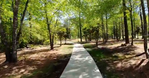 A winding concrete path through a lush green forest with sunlight filtering through the trees.