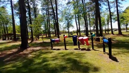 Colorful drums lined up in a park, surrounded by trees and green grass under a clear blue sky.