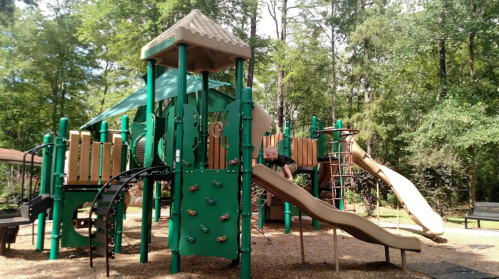 A green playground with slides, climbing structures, and a child playing among trees in a sunny park setting.