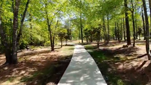 A winding concrete path through a lush green forest with sunlight filtering through the trees.