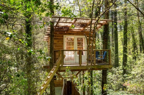 A cozy treehouse nestled among trees, featuring a wooden deck and large windows, surrounded by lush greenery.